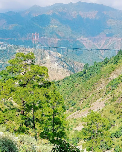 रेल