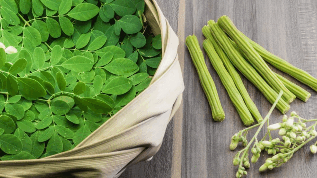 Moringa
