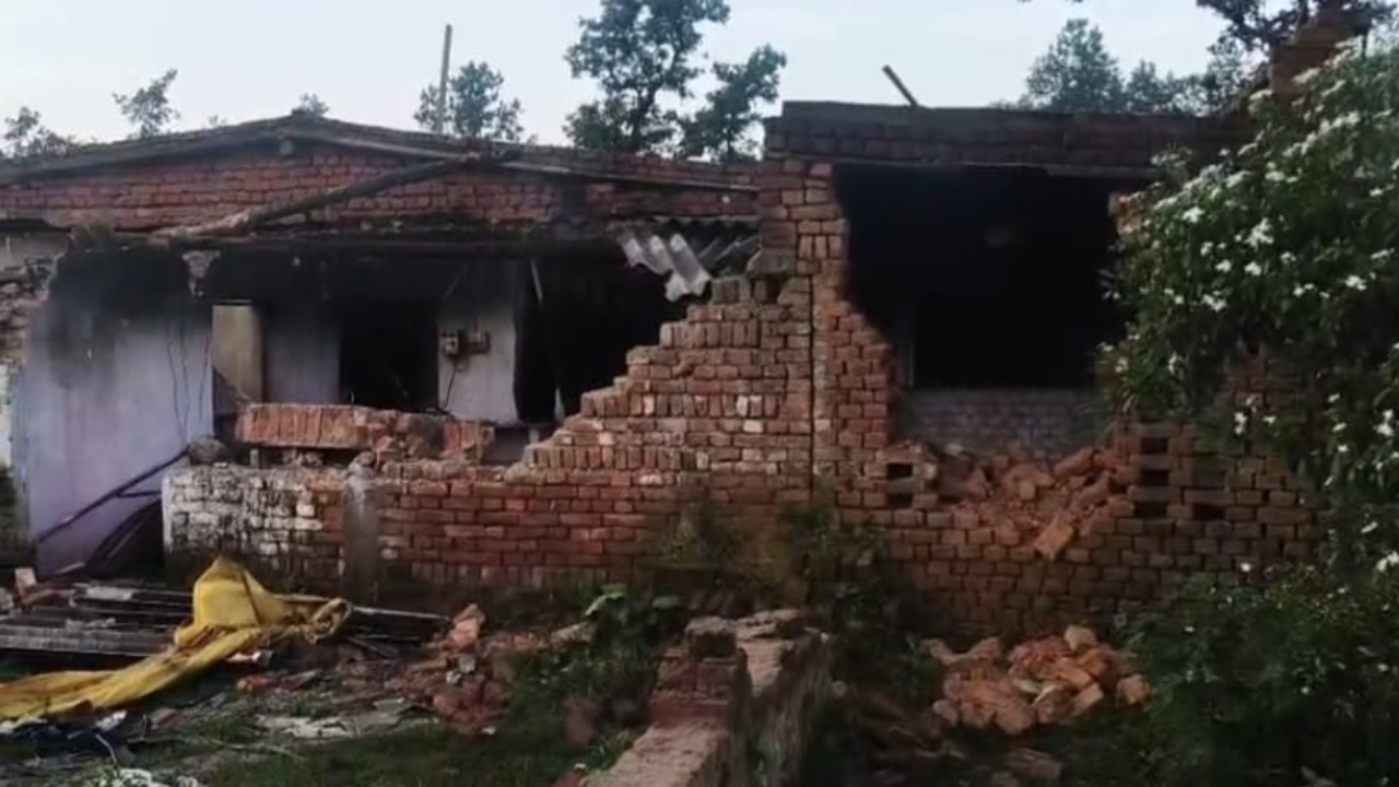 हाथियों 