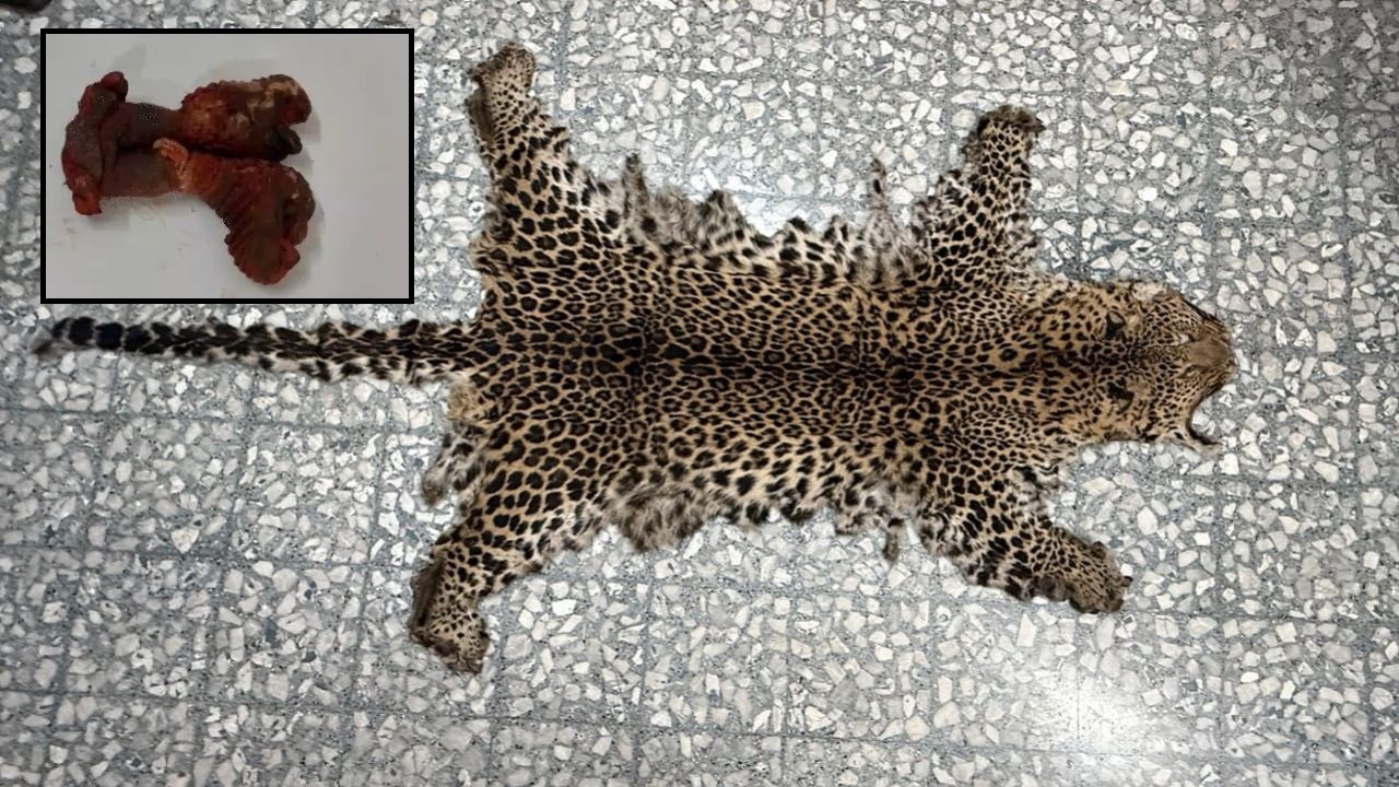 DRI
