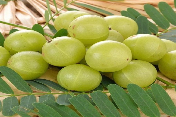 सावधान! आंवला हर किसी के लिए फायदेमंद नहीं, ये लोग इसे खाने से बचें आंवला