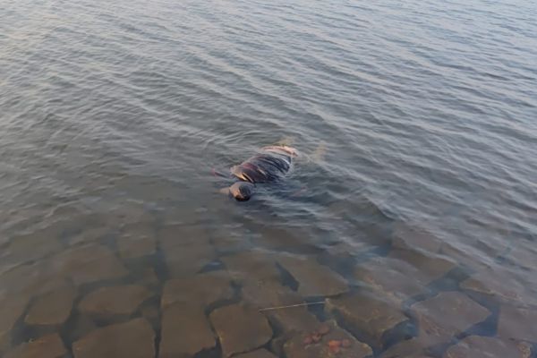 धुर्वा डैम हादसा : चौथे पुलिसकर्मी का श’व बरामद, NDRF और गोताखोरों को मिली सफलता डैम