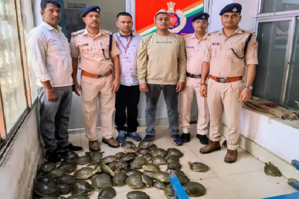 धनबाद रेलवे स्टेशन पर 78 कछुए बरामद, कीमत 7.8 लाख रुपए कछुए