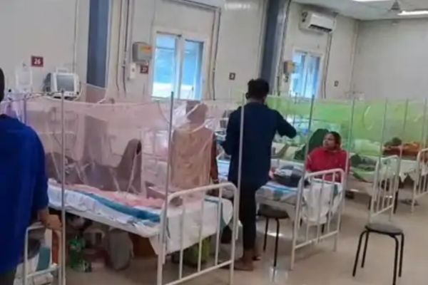 बिहार के इस शहर में तेजी से पांव पसार रहा डेंगू, 99 मरीज मिले डेंगू