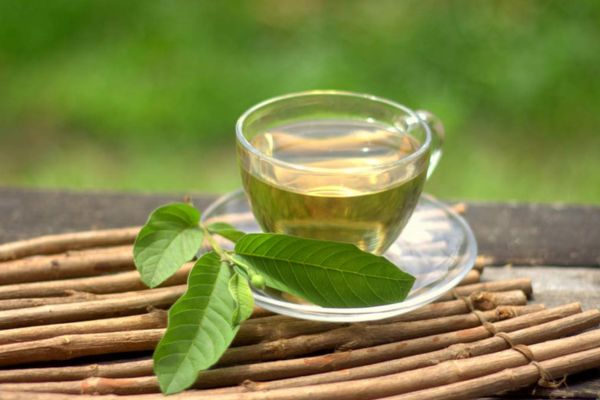 आंखों की रोशनी बढ़ाने में फायदेमंद है अमरूद की पत्तियों की चाय, जानें बनाने का तरीका और फायदे