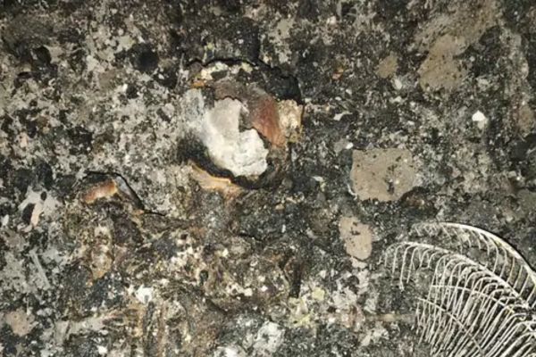 देर रात घर में लगी आ’ग, सो रहे पांच लोग झुलसे घर