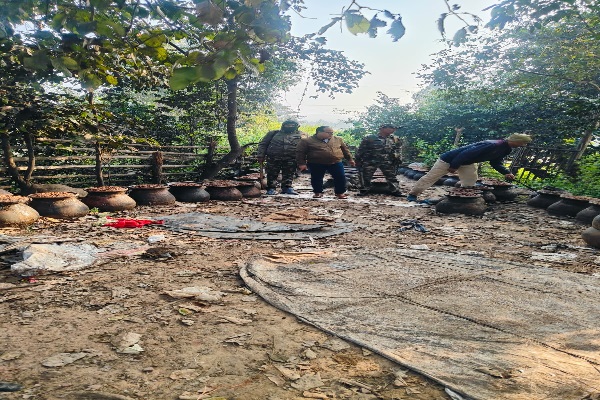 चाईबासा के जंगल में अवैध शराब फैक्ट्री ध्वस्त, 120 लीटर देसी दारू जब्त चाईबासा