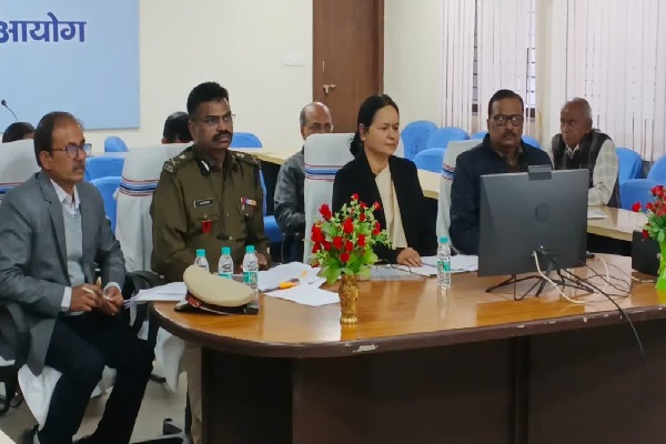 नगर निकाय
