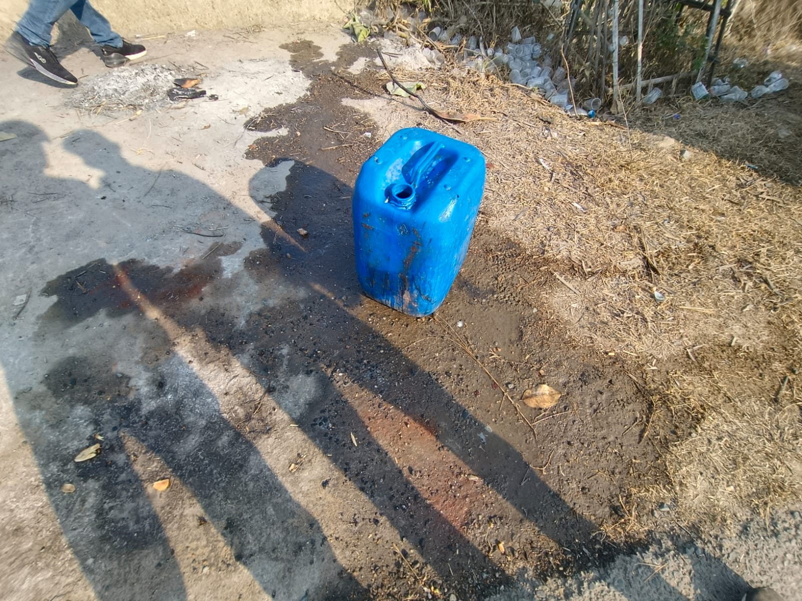 ताड़ी