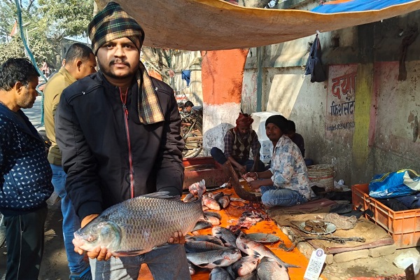 सिझानो