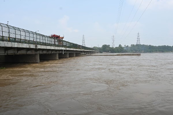 यमुना को फिर से जीवंत करने की तैयारी, 1.56 करोड़ रुपये होंगे खर्च नदी