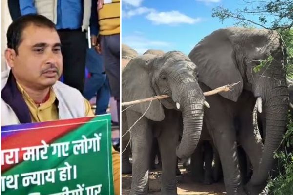 जंगली हाथियों के मुद्दे पर आजसू विधायक ने सदन के बाहर दिया धरना, तत्काल मुआवजे की मांग हाथी