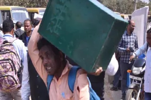 नगर निगम चुनाव
