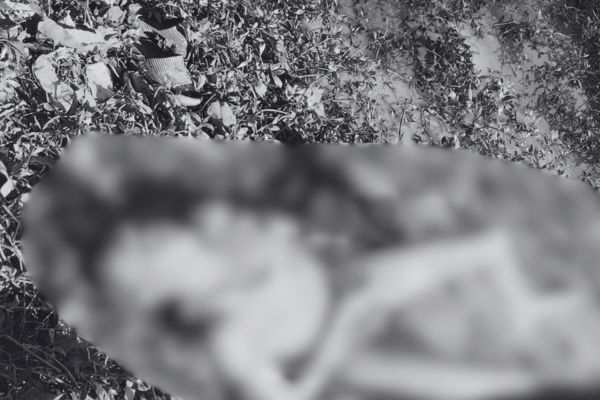 रातू में मिली एक और व्यक्ति की ला’श, हाथी हमले की आशंका रातू