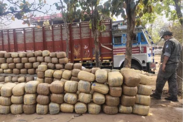 लातेहार में 2 करोड़ का गांजा जब्त, भूसे के नीचे छिपाकर हो रही थी तस्करी गांजा
