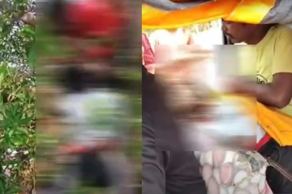 मृत मिला रिश्तेदार के घर आया युवक, पहाड़ी के पास मिली लाश देवघर