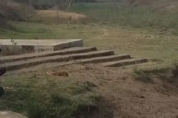 पलामू में बड़ा खेल! जहां बालू नहीं, वहां बना दिए गए घाट बालू