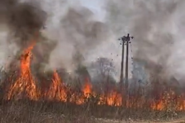 चतरा के प्रतापपुर जंगल में भीषण आग, बिजली तारों पर मंडराया खतरा चतरा