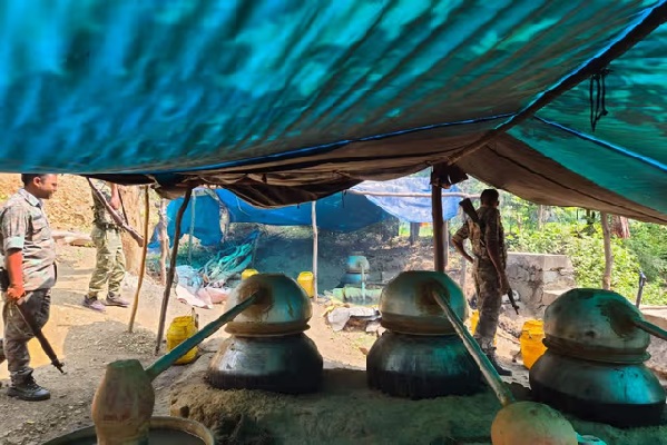 अवैध महुआ शराब पर उत्पाद विभाग का बड़ा एक्शन, 5 अड्डे ध्वस्त सरायकेला