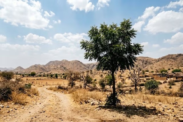 झारखंड में गर्मी का कहर, मेदिनीनगर बना सबसे गर्म शहर, पारा 44°C के पार गर्मी