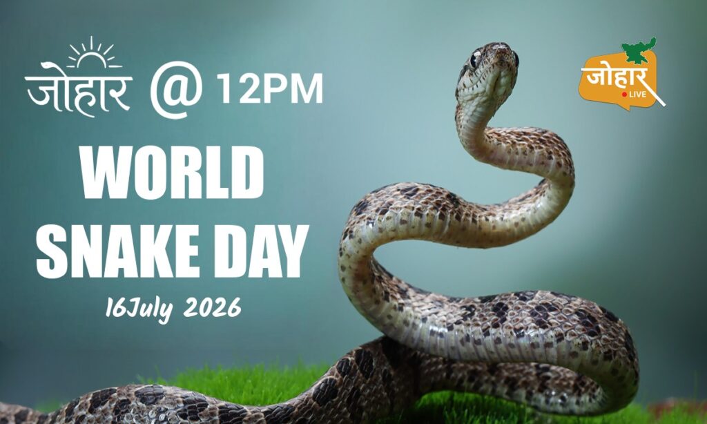 World Snake day