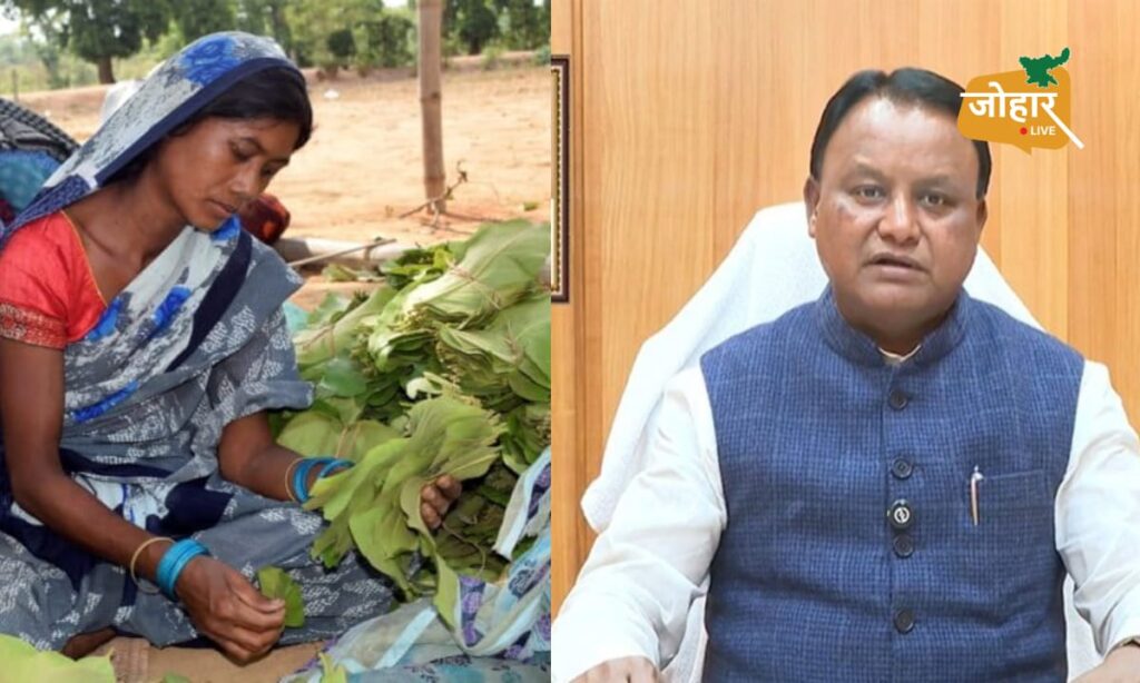 ओडिशा: तेंदूपत्ता तोड़ने वाले आदिवासियों को बड़ी सौगात, 25 फीसदी बोनस के साथ बढ़ी मजदूरी
