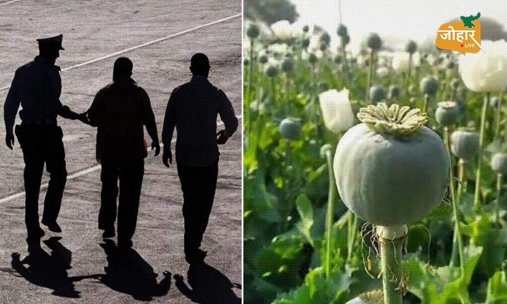 झारखंडः DGP तक गुहार, फिर भी कोर्ट में गवाह पेश नहीं कर सका अभियोजन, अफीम तस्करी केस में तीन आरोपी बरी