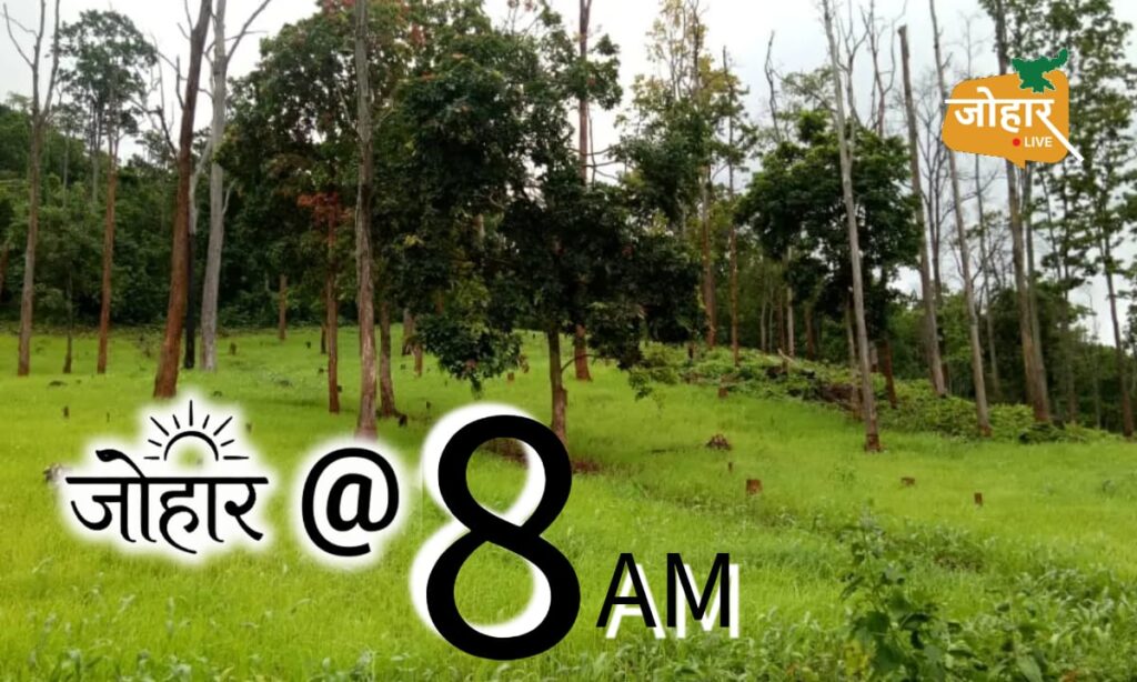 झारखंड : बीते 11 साल में घट गया 232 वर्गकीलोमीटर घना जंगल