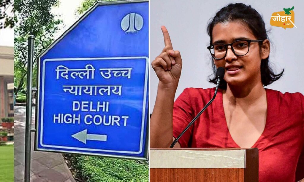 दिल्ली हाईकोर्ट में नेहा बोरा बोलीं, लोकतंत्र में रिजिम चेंज की मांग गलत नहीं