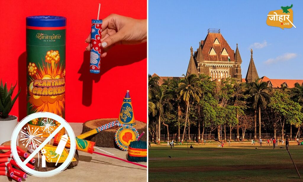 ‘शहर गैस चैंबर बन सकते हैं’, पटाखों पर रोक को लेकर बॉम्बे हाईकोर्ट की सख्त टिप्पणी bombay high court